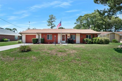 A home in PALM COAST