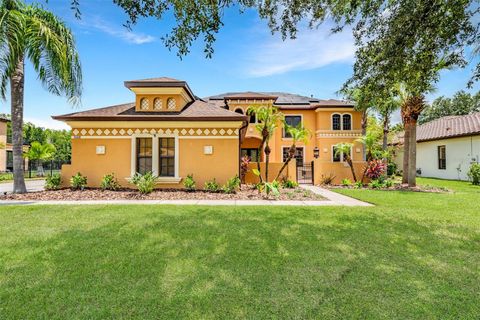 A home in LAND O LAKES