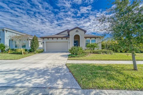 A home in APOLLO BEACH