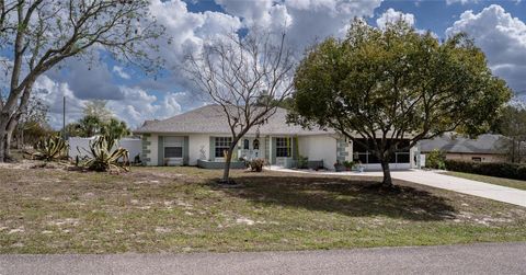 Photo of 2394 Arlee Lane, Spring Hill, FL 34609 (MLS # TB8484122)