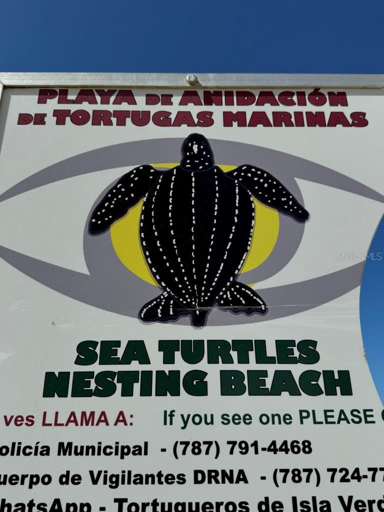 OCEAN TOWER 5757 - Residential