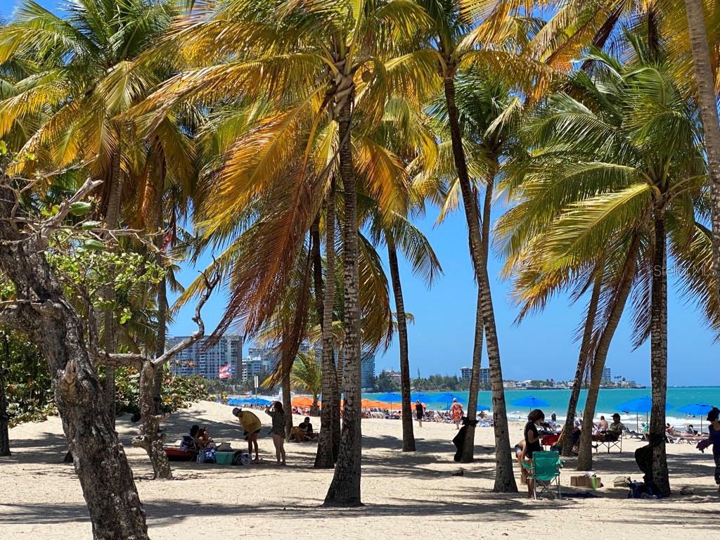 OCEAN TOWER 5757 - Residential