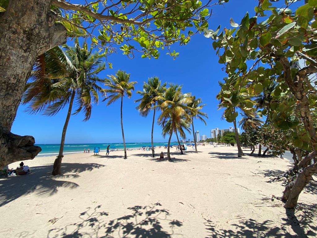 OCEAN TOWER 5757 - Residential