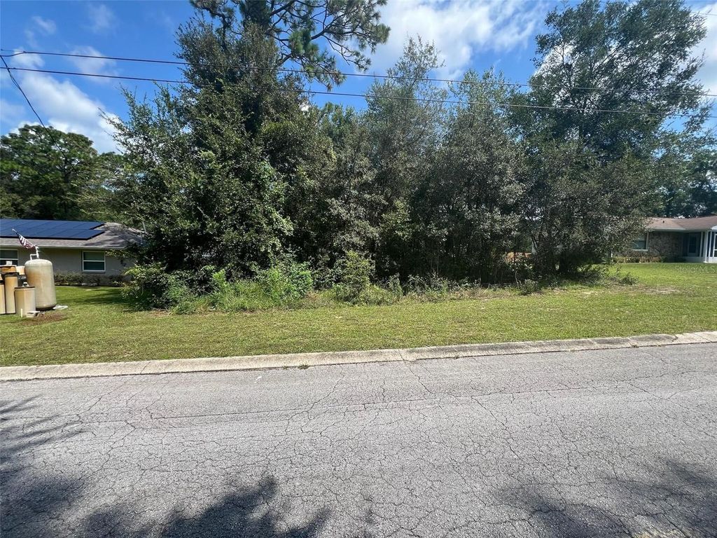 Photo of 6659 E Grayson Street, Inverness, FL 34452 (MLS # O6341157)