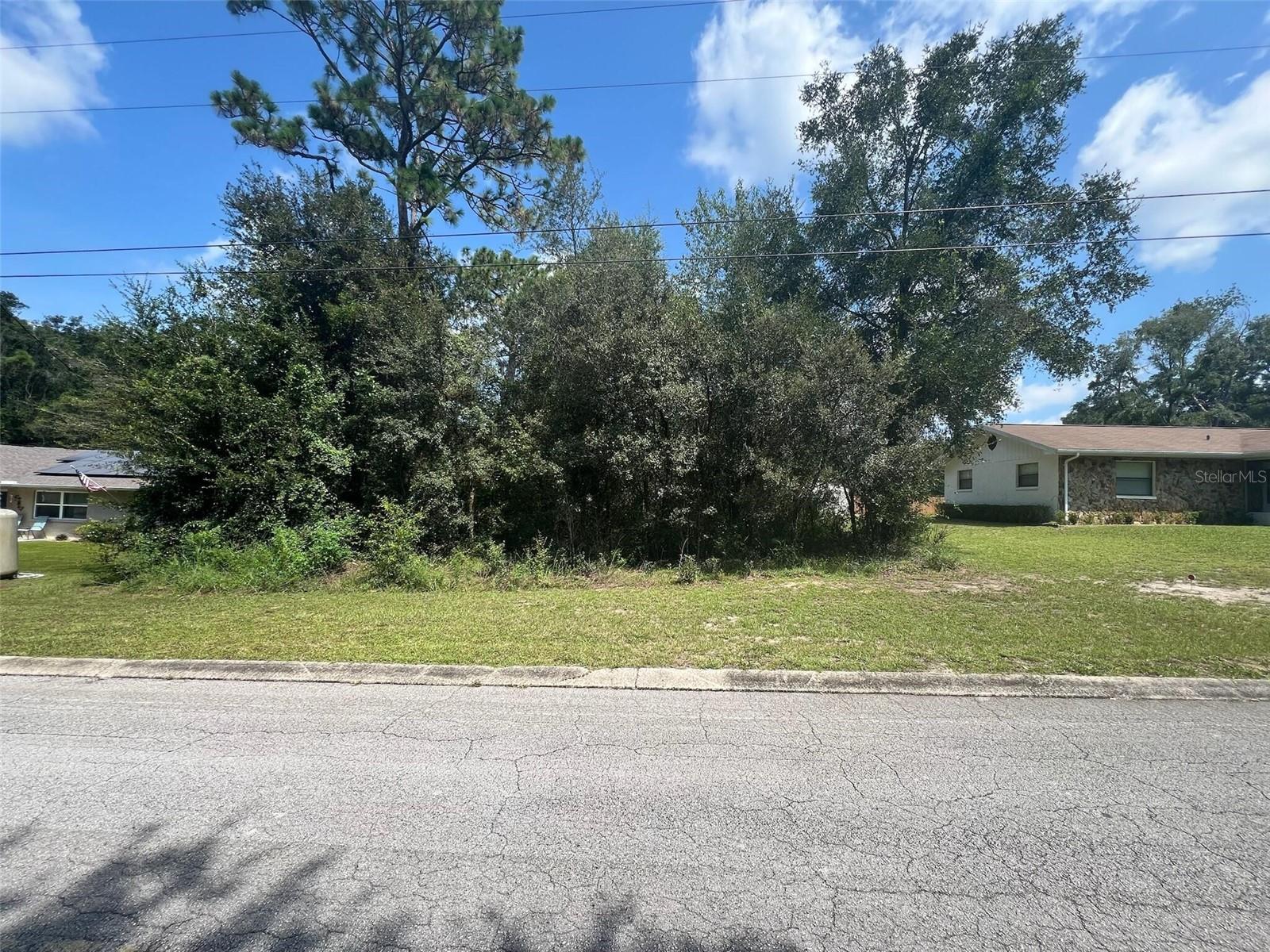 Explore the potential of this .22-acre lot in one of Citrus County’s most sought-after towns. Enjoy nearby lakes, trails, and downtown Inverness, all while living in a peaceful, natural setting.