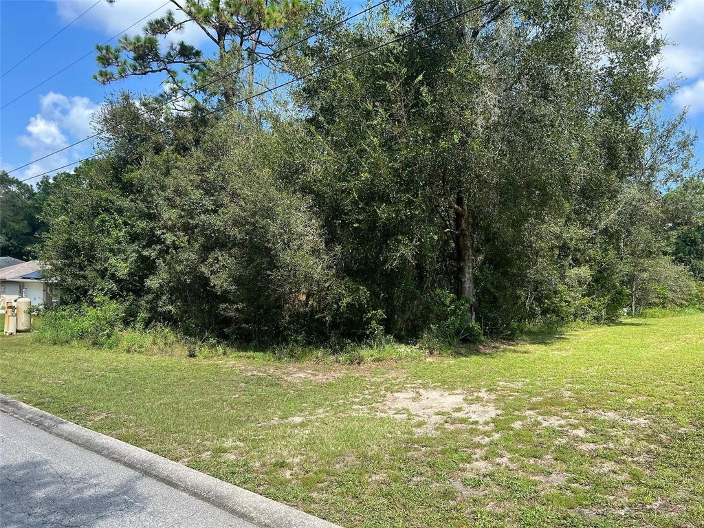 Photo of 6659 E Grayson Street, Inverness, FL 34452 (MLS # O6341157)