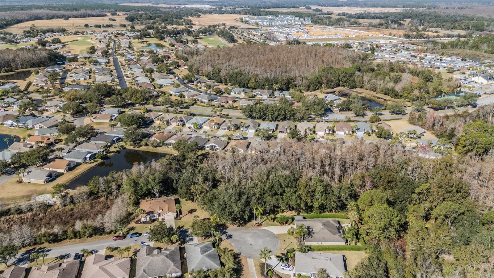 TAMPA BAY GOLF AND TENNIS CLUB - Residential