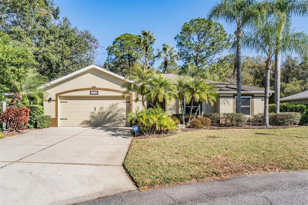 Photo of 10133 Collar Drive, San Antonio, FL 33576 (MLS # TB8470767)