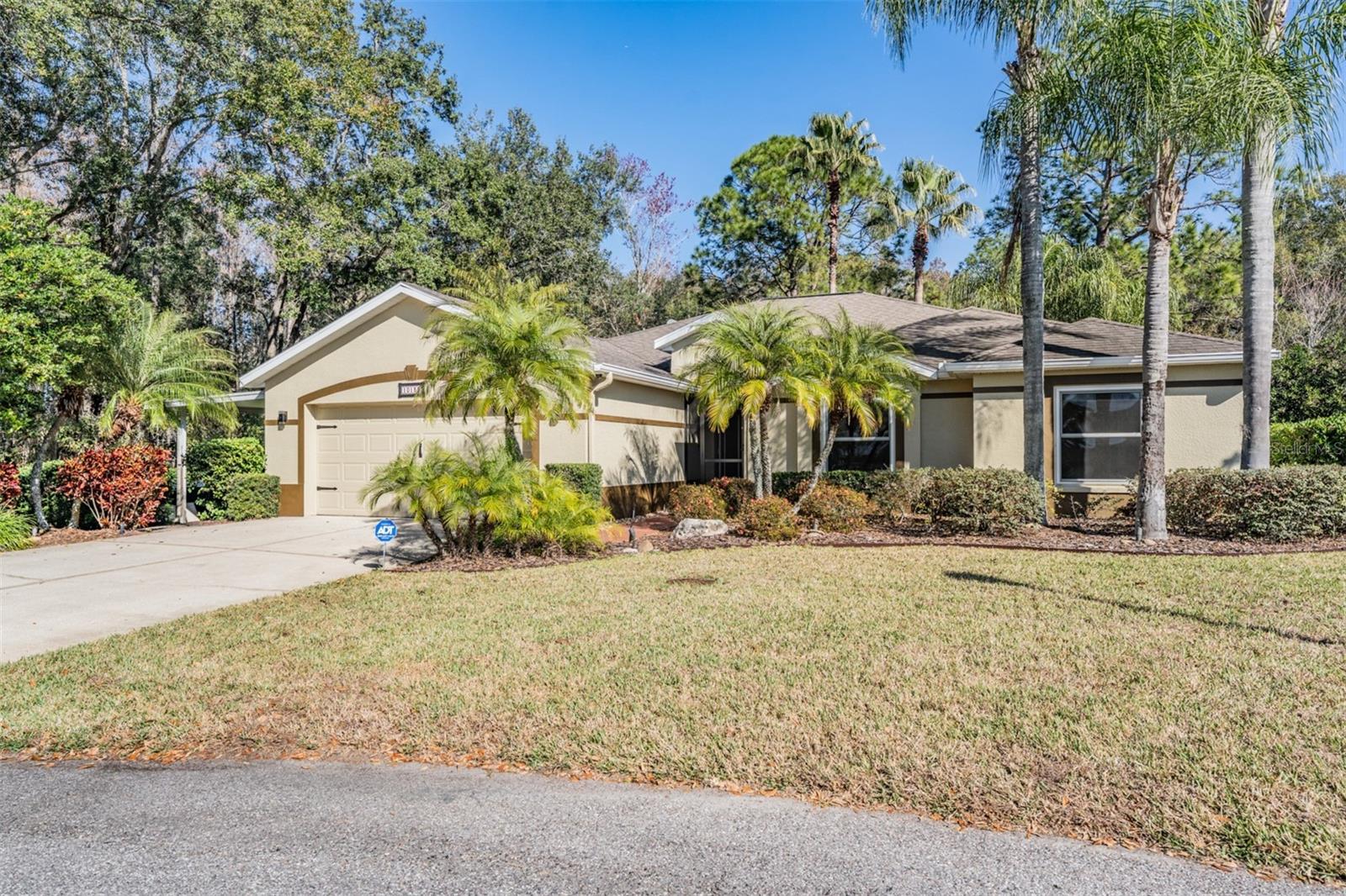 TAMPA BAY GOLF AND TENNIS CLUB - Residential