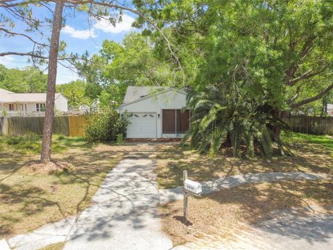 A home in PALM HARBOR