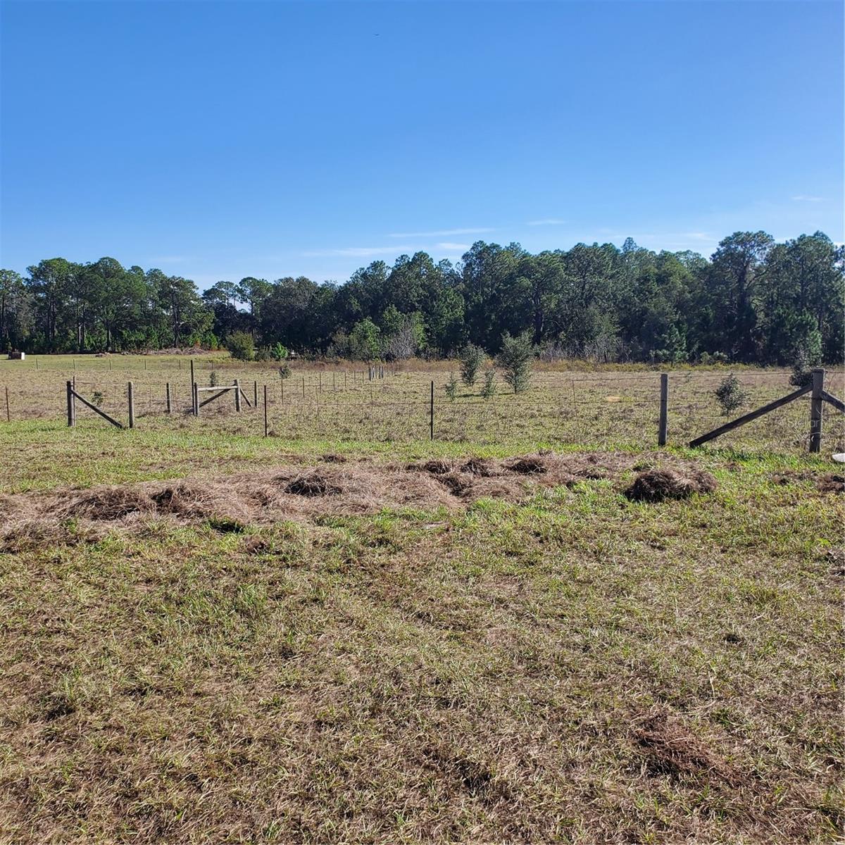 GROVELAND FARMS 09-23-24 - Residential