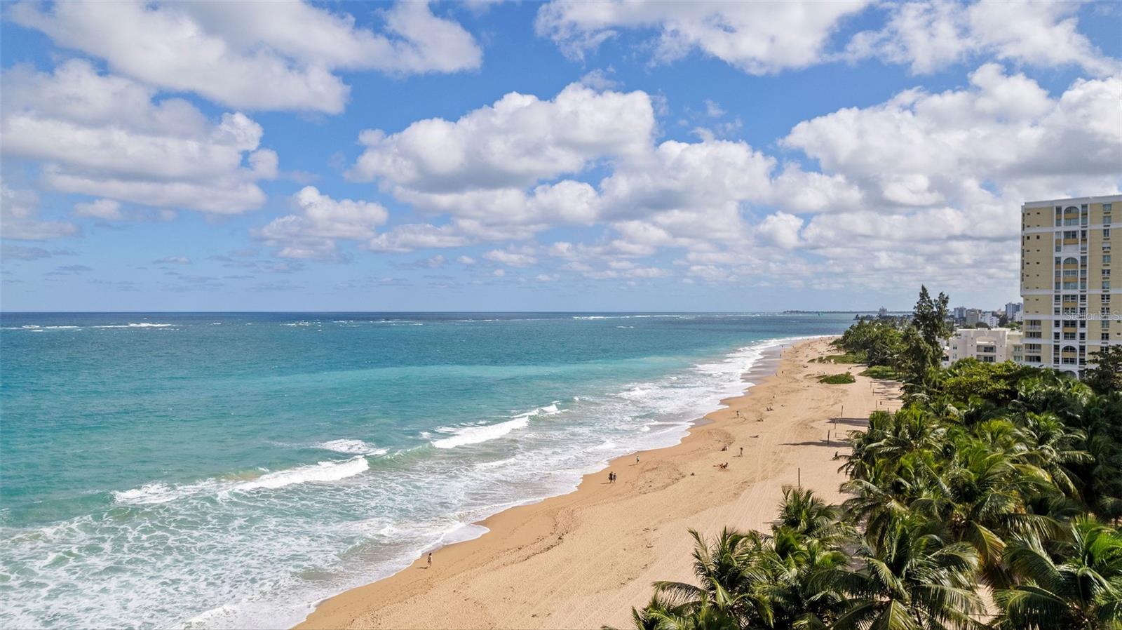 CONDADO - Residential Lease