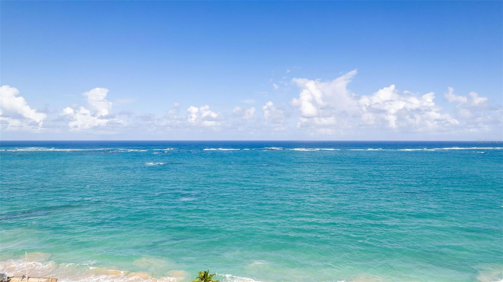 CONDADO - Residential Lease