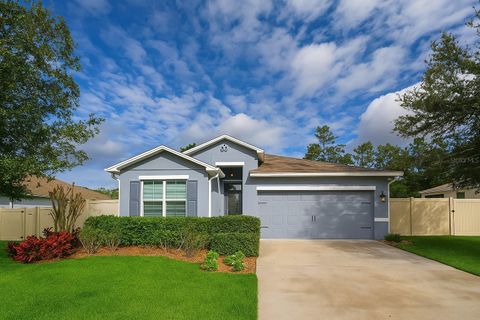 Photo of 206 Wood Hollow Road, Deland, FL 32724 (MLS # O6358077)