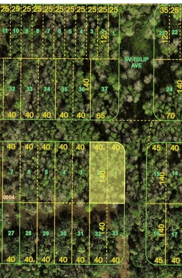 DEL VERDE SEC 00 - Land