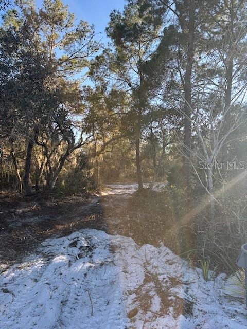 LAKE WALES ESTATES - Land