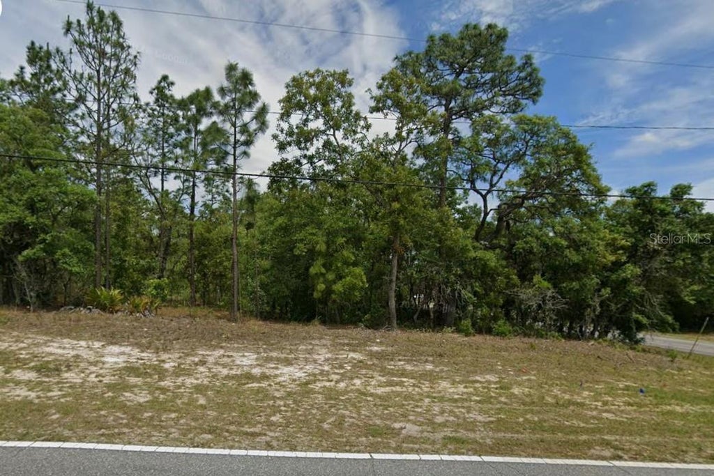 Photo of 873 W Hampshire Boulevard, Citrus Springs, FL 34434 (MLS # OM730119)