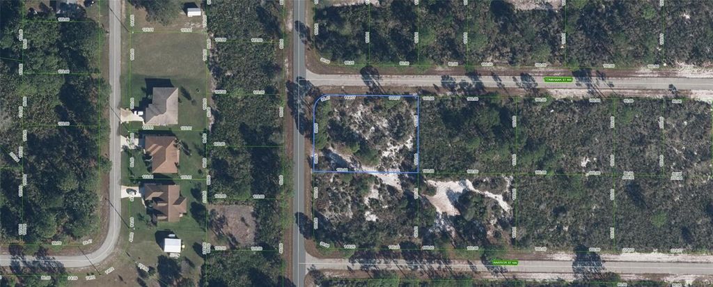 Photo of 224 Tomahawk Street, Lake Placid, FL 33852 (MLS # TB8445778)
