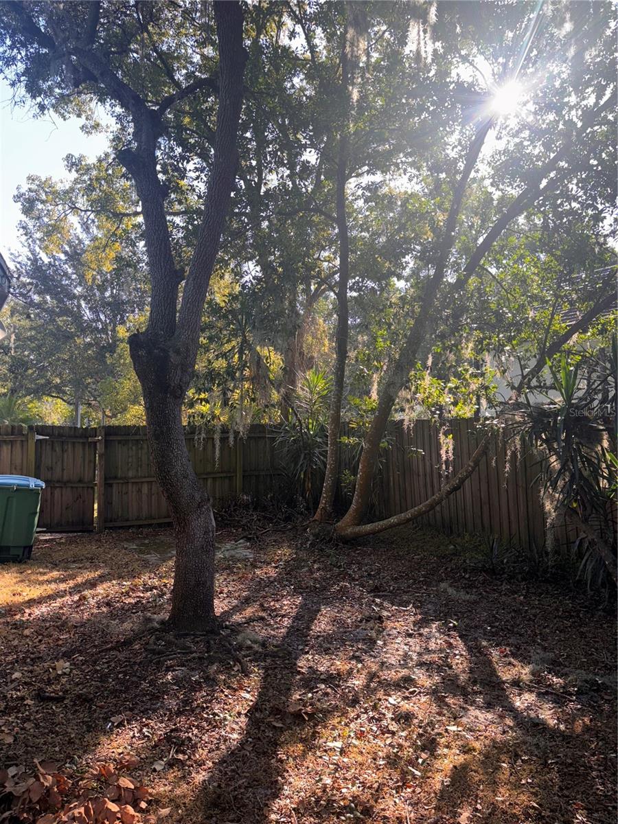 COMSTOCK PARK - Residential Lease