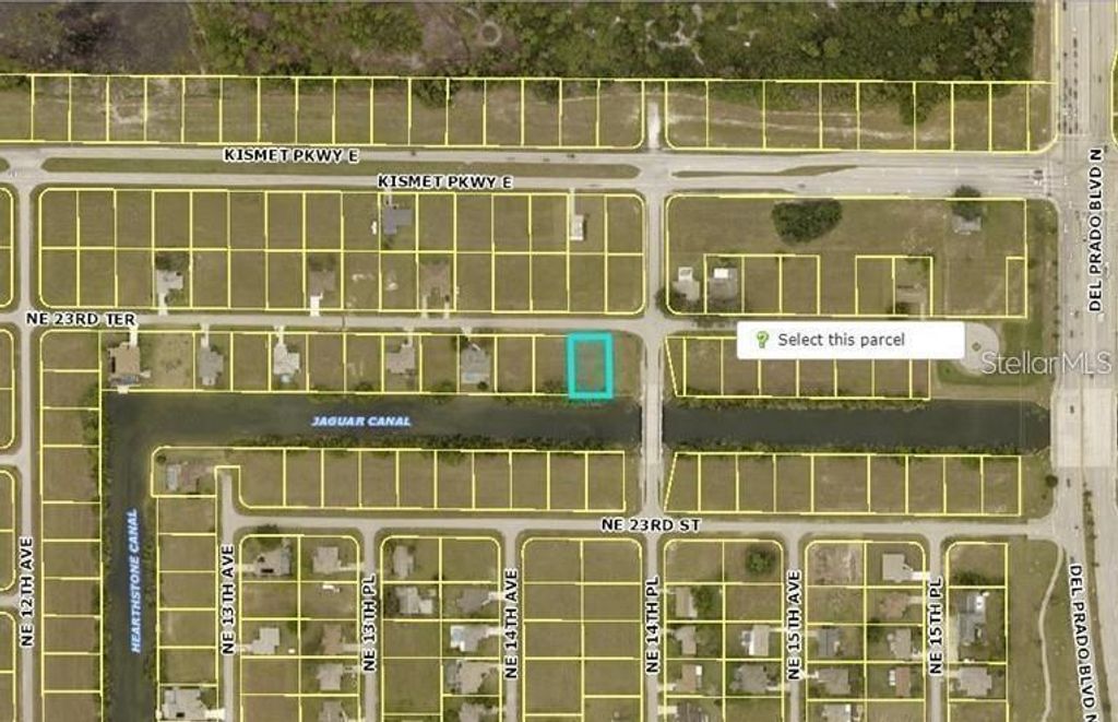 Photo of 1408 NE 23rd Terrace, Cape Coral, FL 33909 (MLS # O6304648)