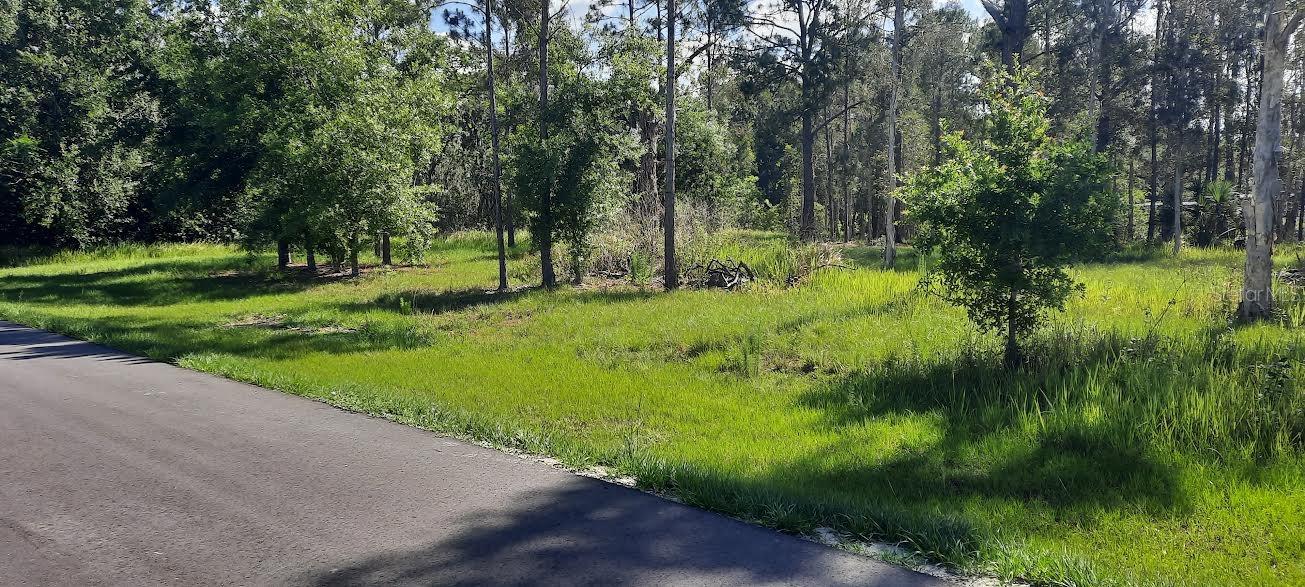 INDIAN LAKE ESTATES - Land