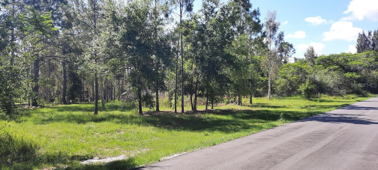 INDIAN LAKE ESTATES - Land