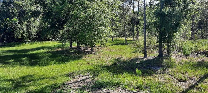 Come build your forever home on this one-half acre CANAL lot that located in the lake community of Indian Lake Estates, a golfing, fishing and boating community in the center of Florida. You can be out on Lake Walk in Water fishing in just minutes! Indian Lake Estates is about 20 miles east of Lake Wales. The community surrounds the 7,500 acre lake locally known as Lake Walk In Water, nationally known for its fishing and considered to be one of the best bass fishing lakes in all Florida. The lake has a beach, boat ramp, boat marina and the longest freshwater Fishing pier in the State of Florida. The pavilion is located at the front of the pier and is complete with propane grills and covered picnic tables. The community amenities include an 18-hole golf course, basketball and tennis courts, 23, 000 sq.ft. clubhouse, cafe, post office, churches, library, fitness room and pro shop. If you love nature and the peace and quiet of the country you're in luck. Wildlife is plentiful! You will see deer, raccoon, turkey, turtles, cranes and various species of birds that call Indian Lake Estates their home. Orlando and Disney is only about an hour's drive north and Tampa, Busch Gardens, and the Gulf's pristine beaches only a little over an hour west. Historic Bok Tower, a National Landmark, is in nearby Lake Wales. The Westgate River Ranch Resort and Rodeo is just six miles away. An authentic Florida dude ranch and full-service resort offering guests the opportunity to experience "Old Florida." Encompassing 1,700 beautiful acres, Westgate River Ranch features horseback riding, wildlife airboat and swamp buggy rides, Saturday night championship rodeo, trap/skeet range, nature hikes, petting farm, marina, Adventure Park with zip line and rock climbing wall, Westgate Smokehouse Grill and River Ranch Saloon and much more. Cowboy-themed accommodations range from ranch-themed lodge guestrooms and deluxe lodge suites to spacious cottages, two-bedroom cabins, Glamping and Luxe Teepees. Come out and see how great life can be at Indian Lake Estates! Polk County's best kept secret!