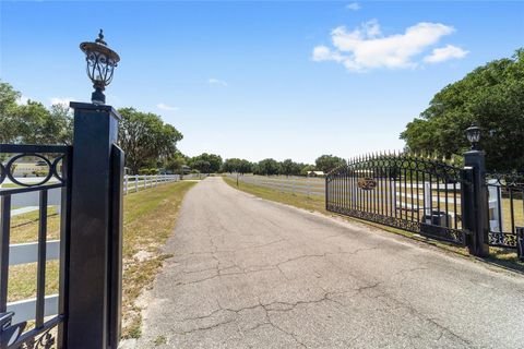 Tiny photo for 22620 Highway 441 N, Micanopy, FL 32667 (MLS # OM723005)