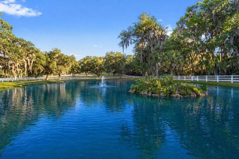 Tiny photo for 22620 Highway 441 N, Micanopy, FL 32667 (MLS # OM723005)