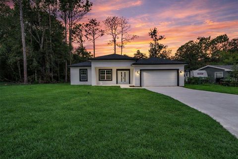 Photo of 10932 N Frantz Avenue, Citrus Springs, FL 34434 (MLS # O6341620)