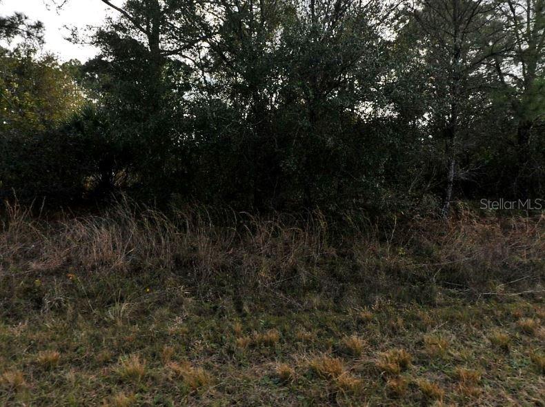 PORT CHARLOTTE SUB 45 - Land