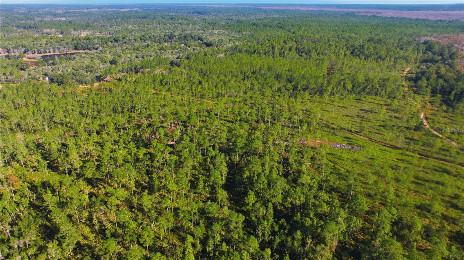 TBD (Lot 5) NE 115TH LANE ROAD