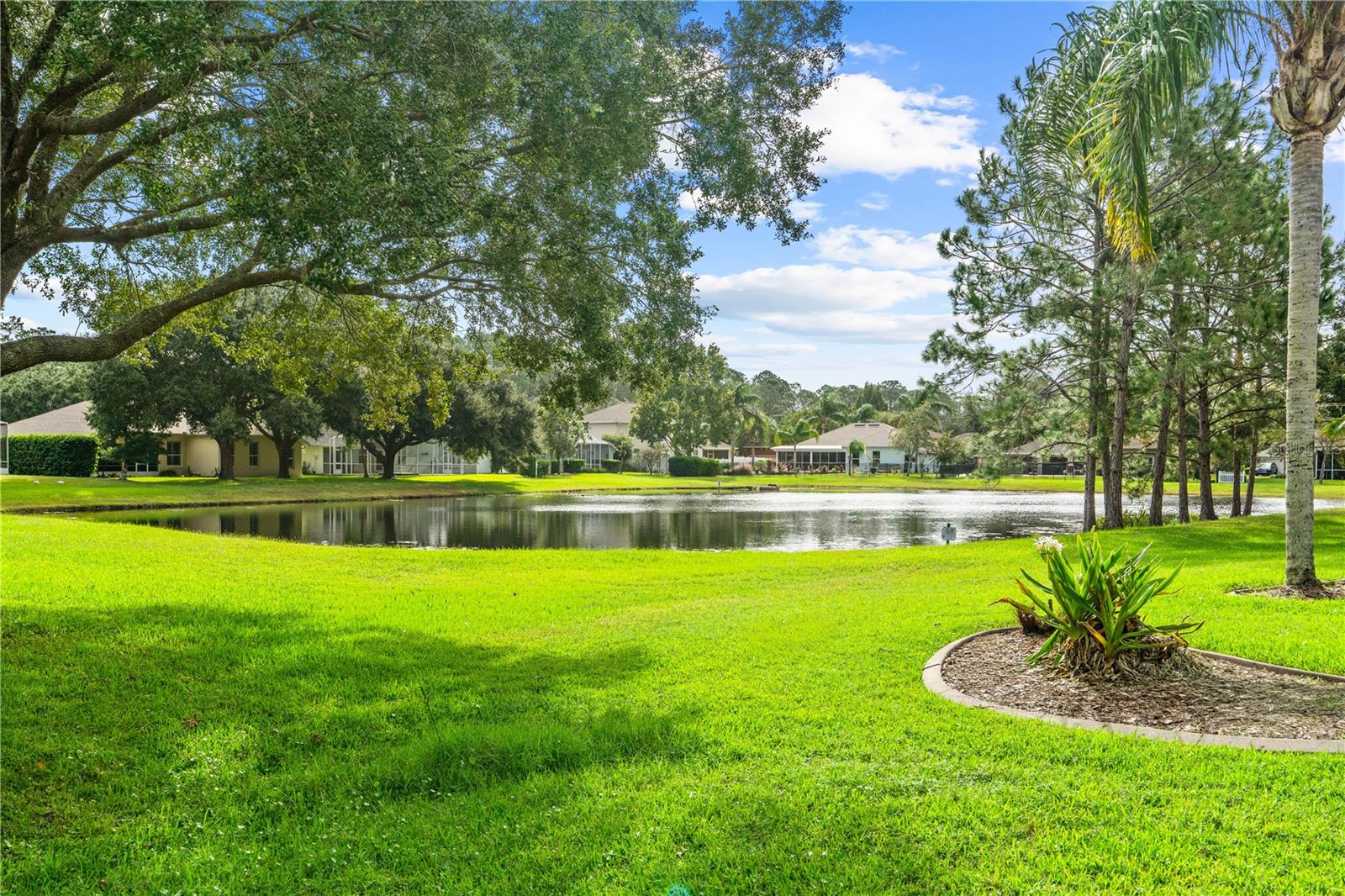 170 HAMLET TRACE