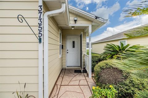 A home in ZEPHYRHILLS