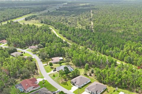 Tiny photo for 92 Grass Street, Homosassa, FL 34446 (MLS # W7877797)