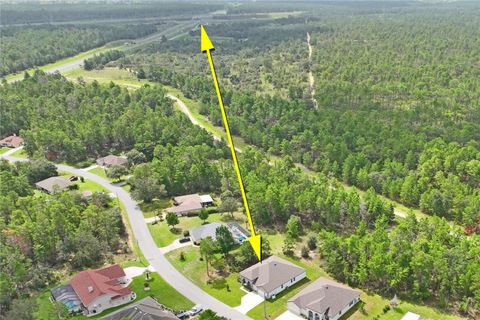 Tiny photo for 92 Grass Street, Homosassa, FL 34446 (MLS # W7877797)