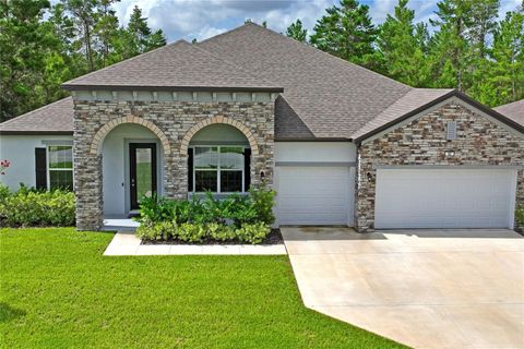 Tiny photo for 92 Grass Street, Homosassa, FL 34446 (MLS # W7877797)