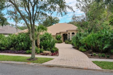 A home in PALM COAST