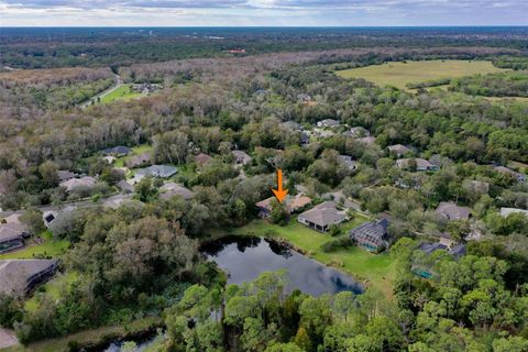 A home in PALM COAST