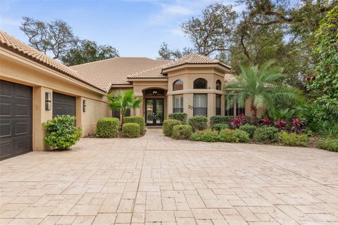 A home in PALM COAST