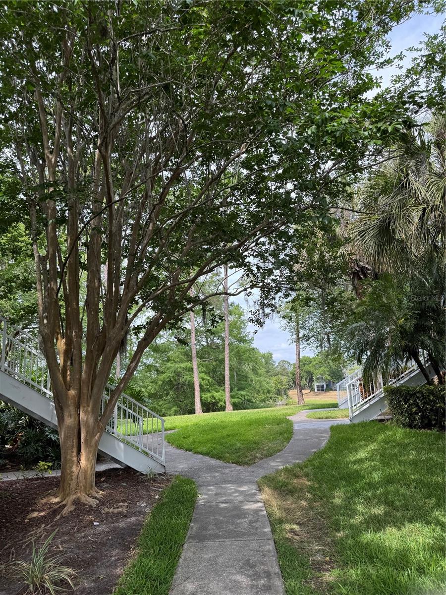 REGENCY PARK AT LAKE MARY A CONDO - Residential