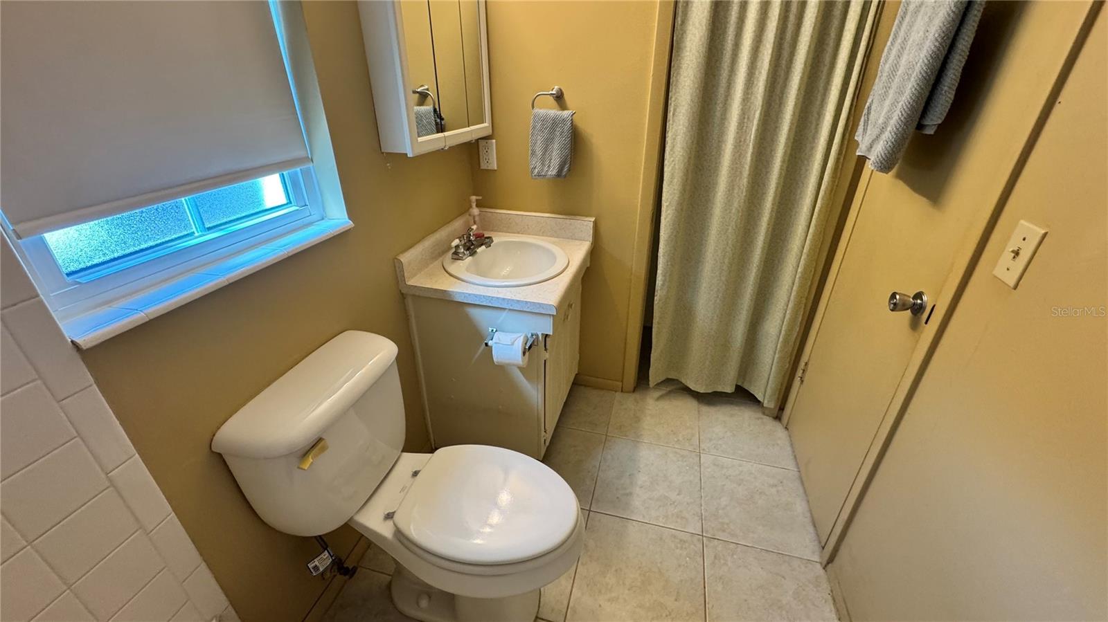 TAVARES LAKEVIEW CONDO - Residential