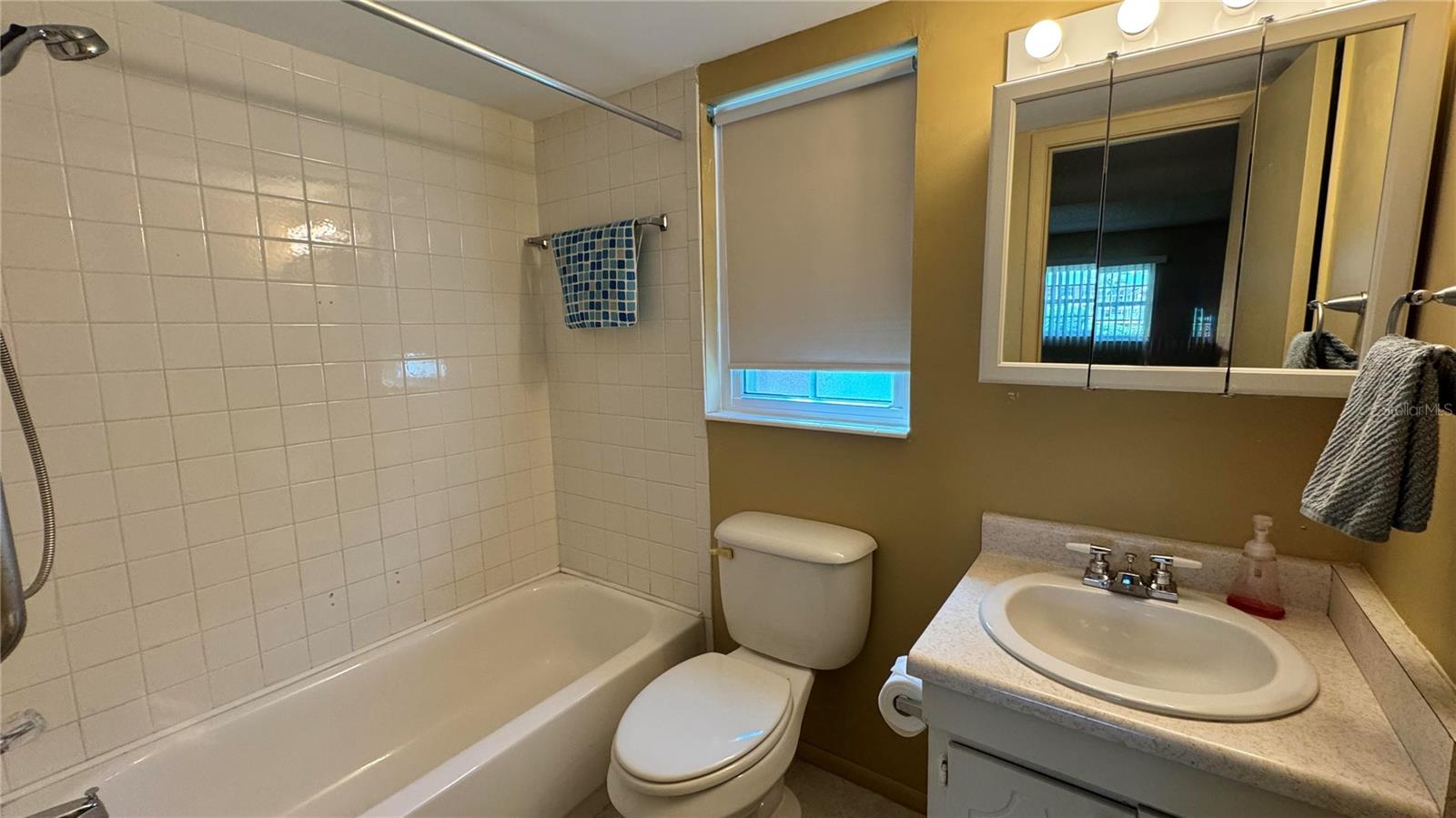 TAVARES LAKEVIEW CONDO - Residential