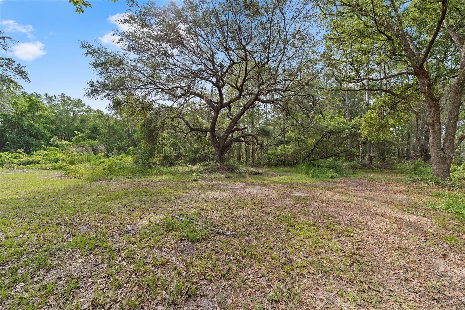 OAKRIDGE - Residential