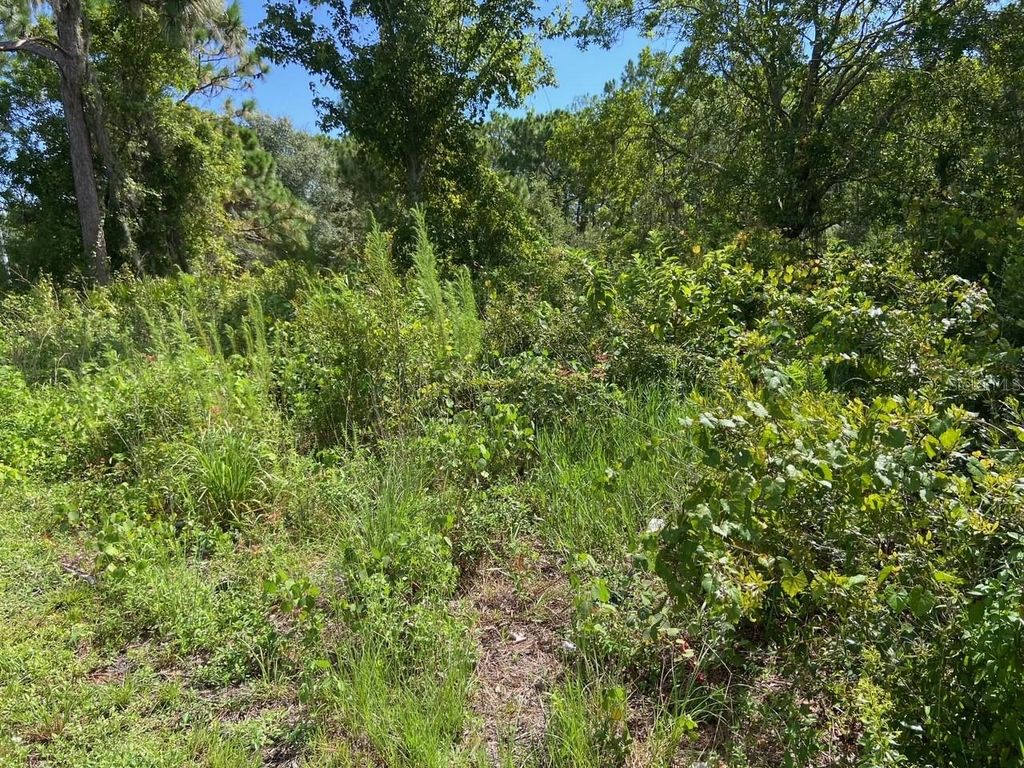 Photo of 0 Old Gainesville Highway, Interlachen, FL 32148 (MLS # T3542292)