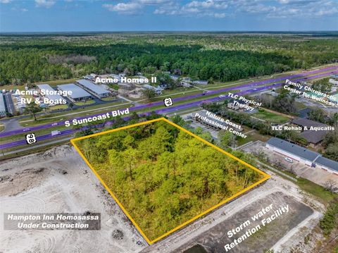 8501 S SUNCOAST BOULEVARD HOMOSASSA FL 34446