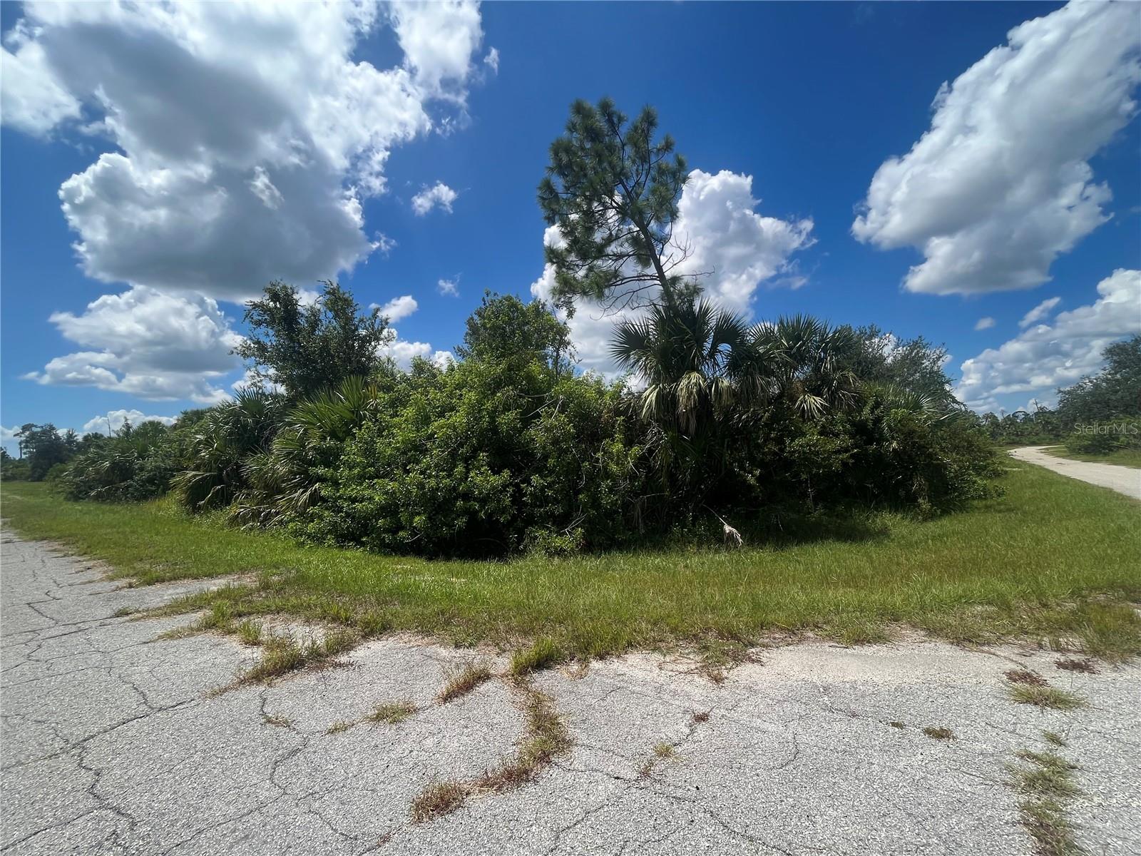 Looking for the perfect place to build your dream home? This spacious oversized lot in North Port offers endless possibilities with no HOA or deed restrictions, giving you the freedom to create the property you’ve always wanted. Whether you're planning a custom home, a detached garage, or need space for your boat or RV, this lot provides the flexibility you need. Nestled in a peaceful, growing area, you’ll enjoy privacy while still being just minutes from shopping, dining, top-rated schools, and easy access to I-75. Plus, you're a short drive from beautiful Gulf beaches and the exciting new Wellen Park community. Surrounded by lush Florida greenery, this property offers a tranquil setting with plenty of room to bring your vision to life. Don’t miss out on this rare opportunity