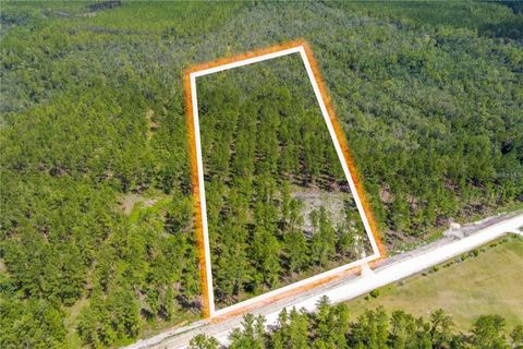 NE 271ST AVENUE LAWTEY FL 32058
