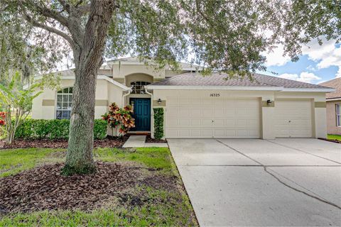 Photo of 16325 Bridgeglade Lane, Lithia, FL 33547 (MLS # TB8431874)