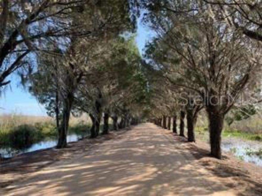 HAD YOUR FILL OF COOKIE CUTTER COMMUNITIES? This stunning .87 acre vacant lot on secluded Big Pine Island Community is calling you home. The beautiful tree lined causeway is your entry to this peaceful retreat. Come live your dreams of capturing that disappearing natural Florida lifestyle most just hear about. Beautiful home site awaits with 170+ feet of canal frontage, accessing the Ocklawaha River and Lake Griffin, one of nine lakes in the Harris Chain of Lakes in Central Florida. Splendid homesite dotted with pine, oak and palm trees on this amazing 26 acre private island community. Still minutes away from golf, shopping, entertainment, dining, medical and a local fire station. Build your dream home here and live side by side with the best of natural Florida.  Conservation area across from the canal prevents any construction there and assures privacy.  And this unique location offers much more than just privacy; Love boating? Your canal frontage is the gateway to the Harris Chain of Lakes.  Or if you enjoy birdwatching, fishing, biking, hiking or paddle boarding... all here for you. State park is nearby.  Use any builder you want with no timeframe requirement for building. Power at site.  Call today.